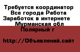 Требуется координатор - Все города Работа » Заработок в интернете   . Мурманская обл.,Полярный г.